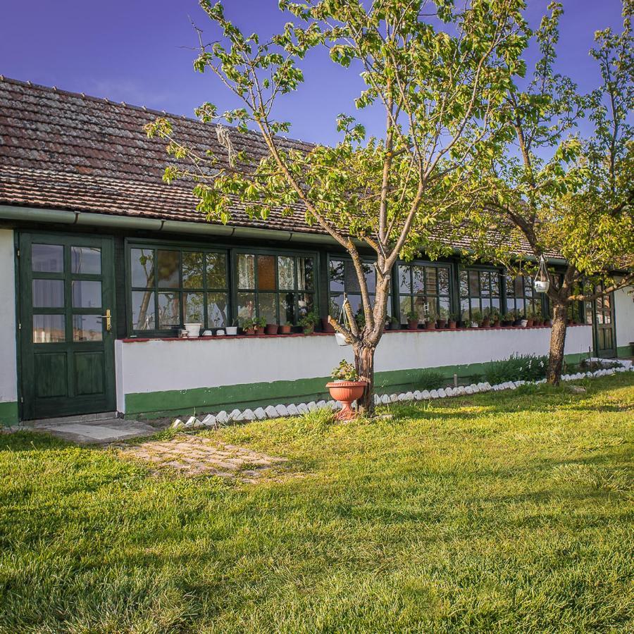 Etno Salas - Etno Ranch - Seosko Turisticko Domacinstvo Villa Palić Exterior foto