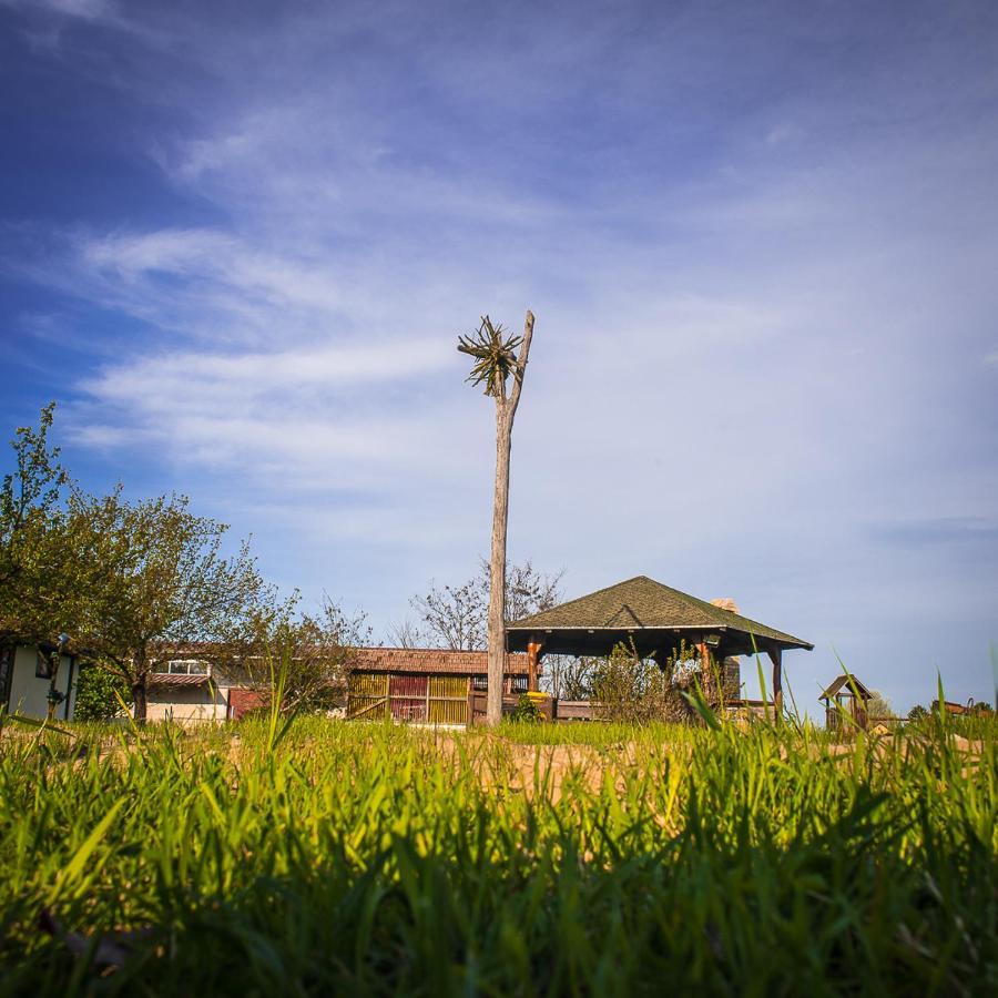 Etno Salas - Etno Ranch - Seosko Turisticko Domacinstvo Villa Palić Exterior foto