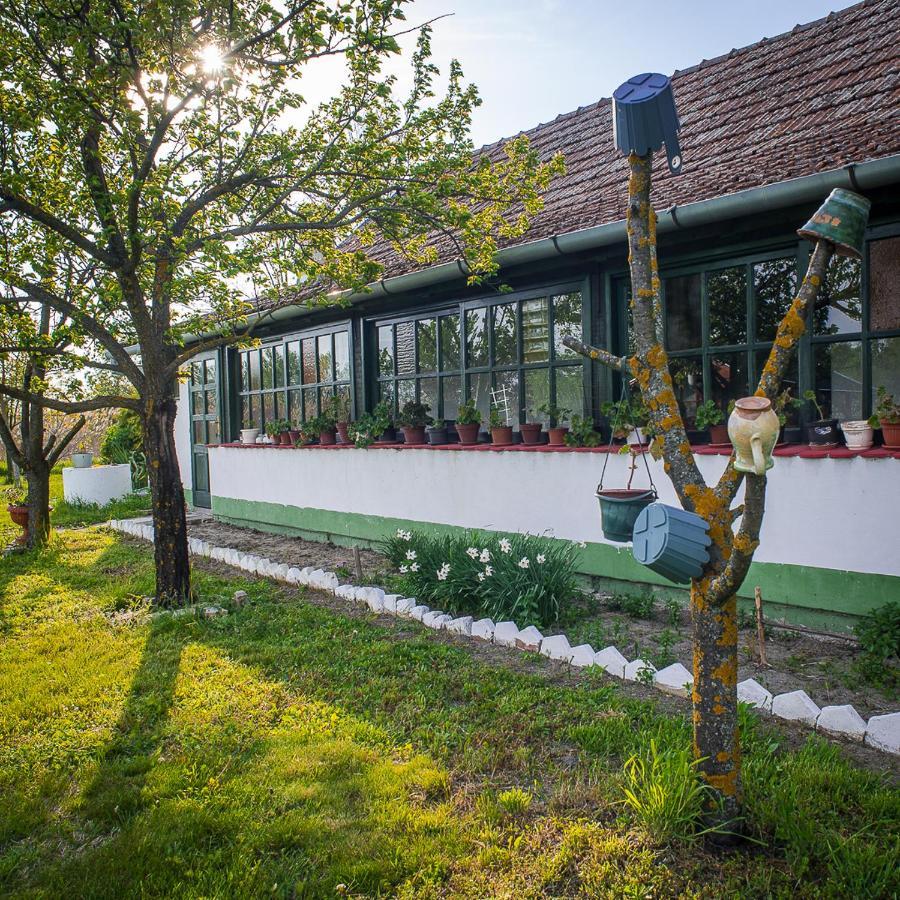 Etno Salas - Etno Ranch - Seosko Turisticko Domacinstvo Villa Palić Exterior foto